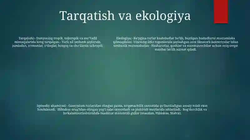 Gulxayridoshlar (Malvaceae) Oilasi 4