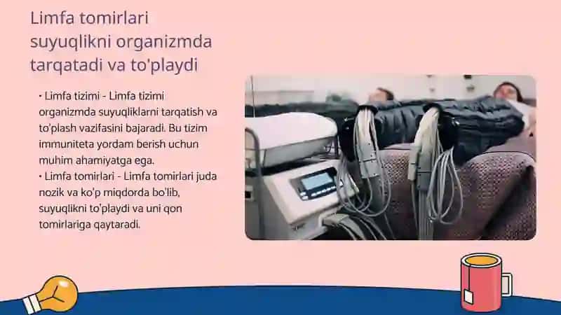 Limfa sistemasi 4