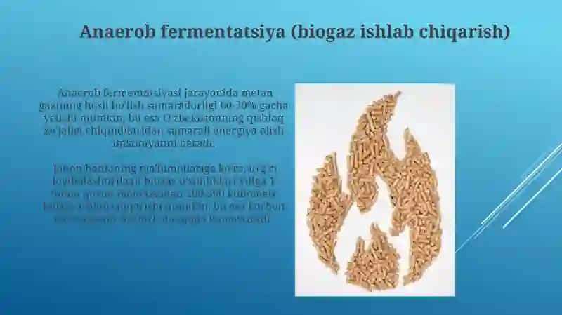 Biomassadan energiya olishning asosiy usullar 4
