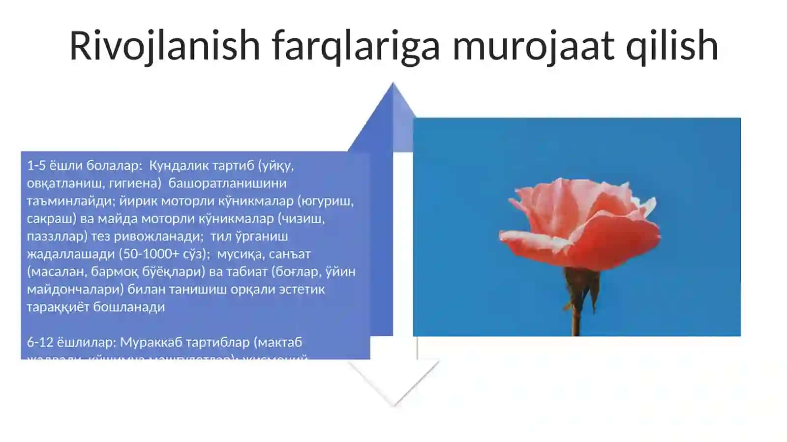 Turli yoshi bolalarni kun tartibi va jismoniy, aqliy estetik tarbiyalash 4