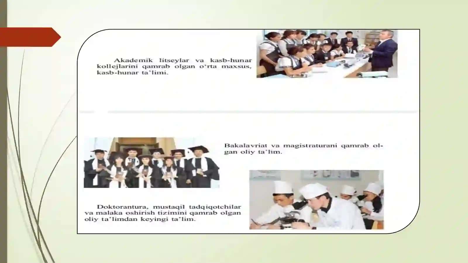 11-sinf O'zbek tili dars ishlanma. O'zbekiston ta'lim tizimi. Grammatika. Gaplarning ifoda maqsadiga ko'ra turlari 4