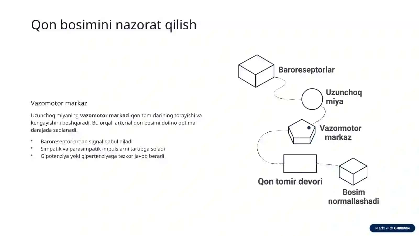 Uzunchoq miya fiziologiyasi 4