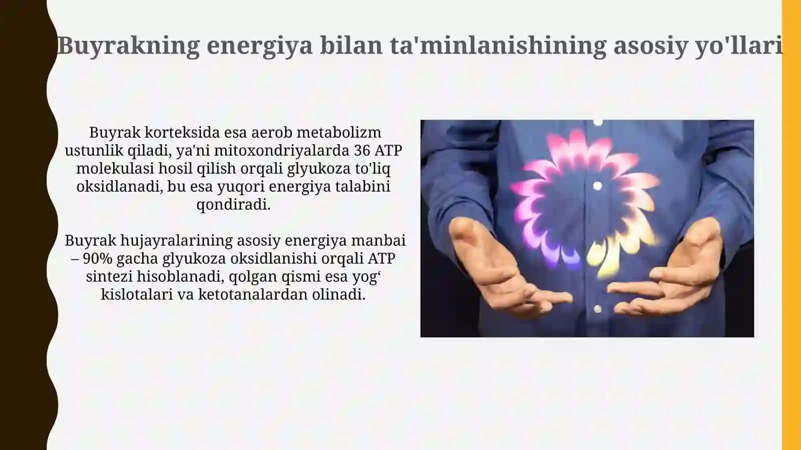 Buyrakni energiya bilan ta'minlashning asosiy yo'llari 4