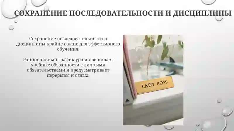 Организация учебного труда и рационального режима студента 4