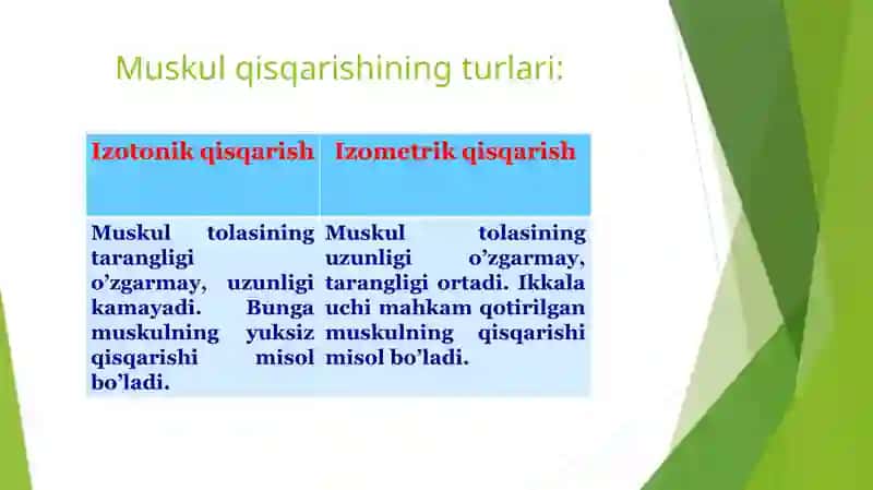 Mushaklar ishlab chiqarish va biomekhanikasi 4