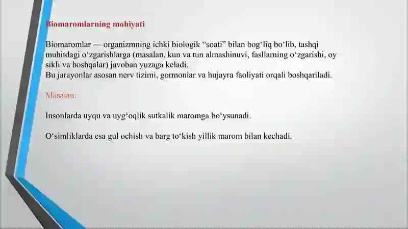 Biomaromlar va tirik organizmlarning hayotiy shakllari. Vaqt ekologik omili. O'simlik va hayvonlardagi sutkalik, oylik va yillik maromlari. 4