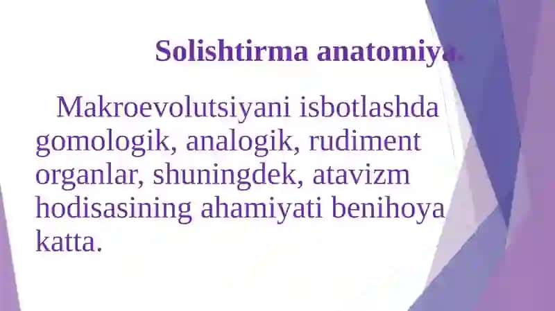 Evolyutsiyani isbotlashda solishtirma anatomiya, poleontologiya fanlari dalillari 4