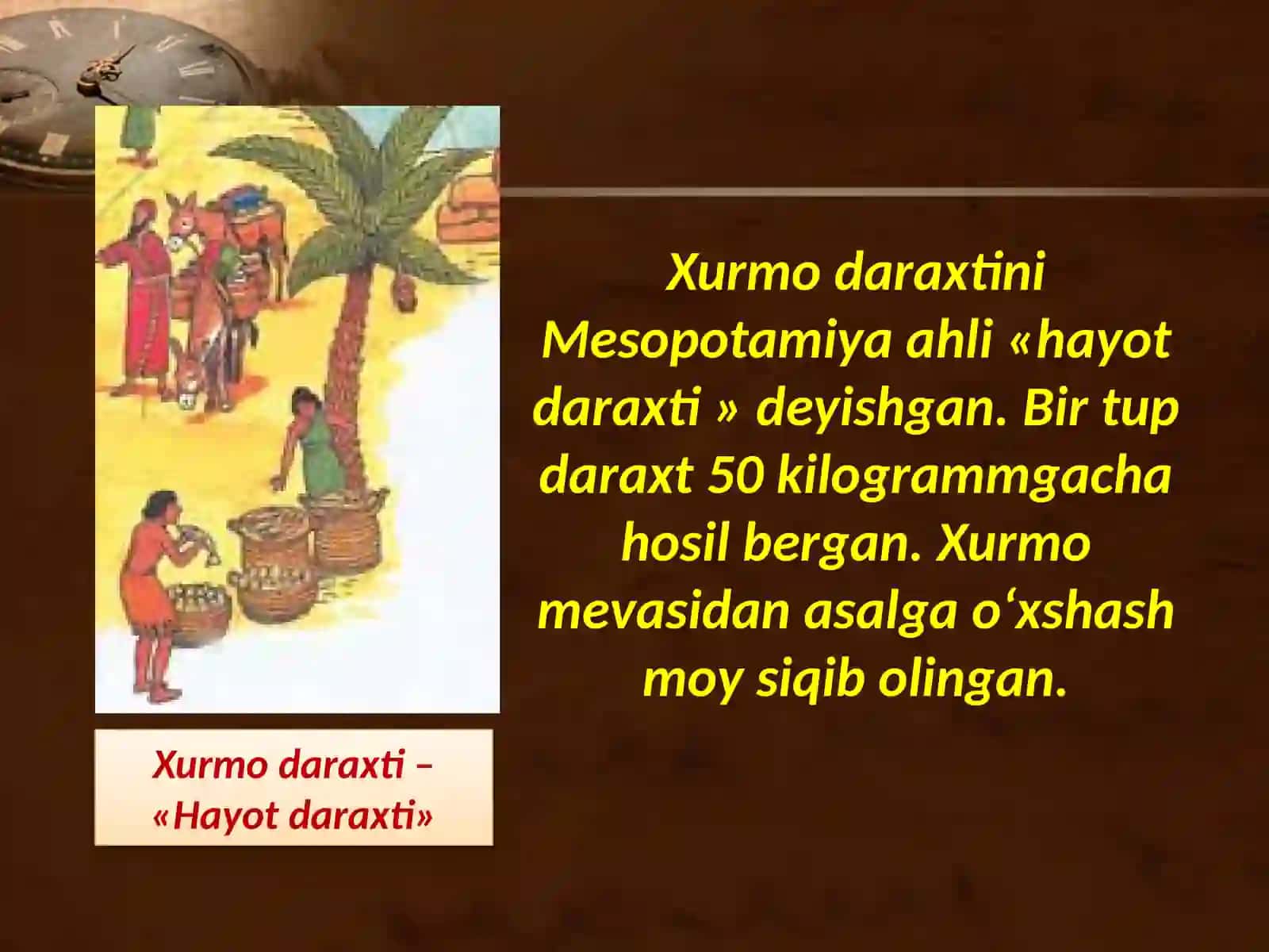Mesopotamiya sivilizatsiyalari 4