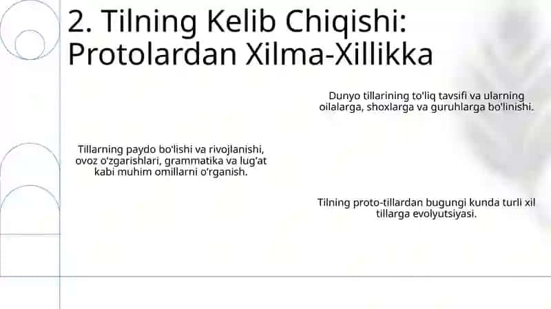 Jahon Tillari va ularning Tasniflash 4