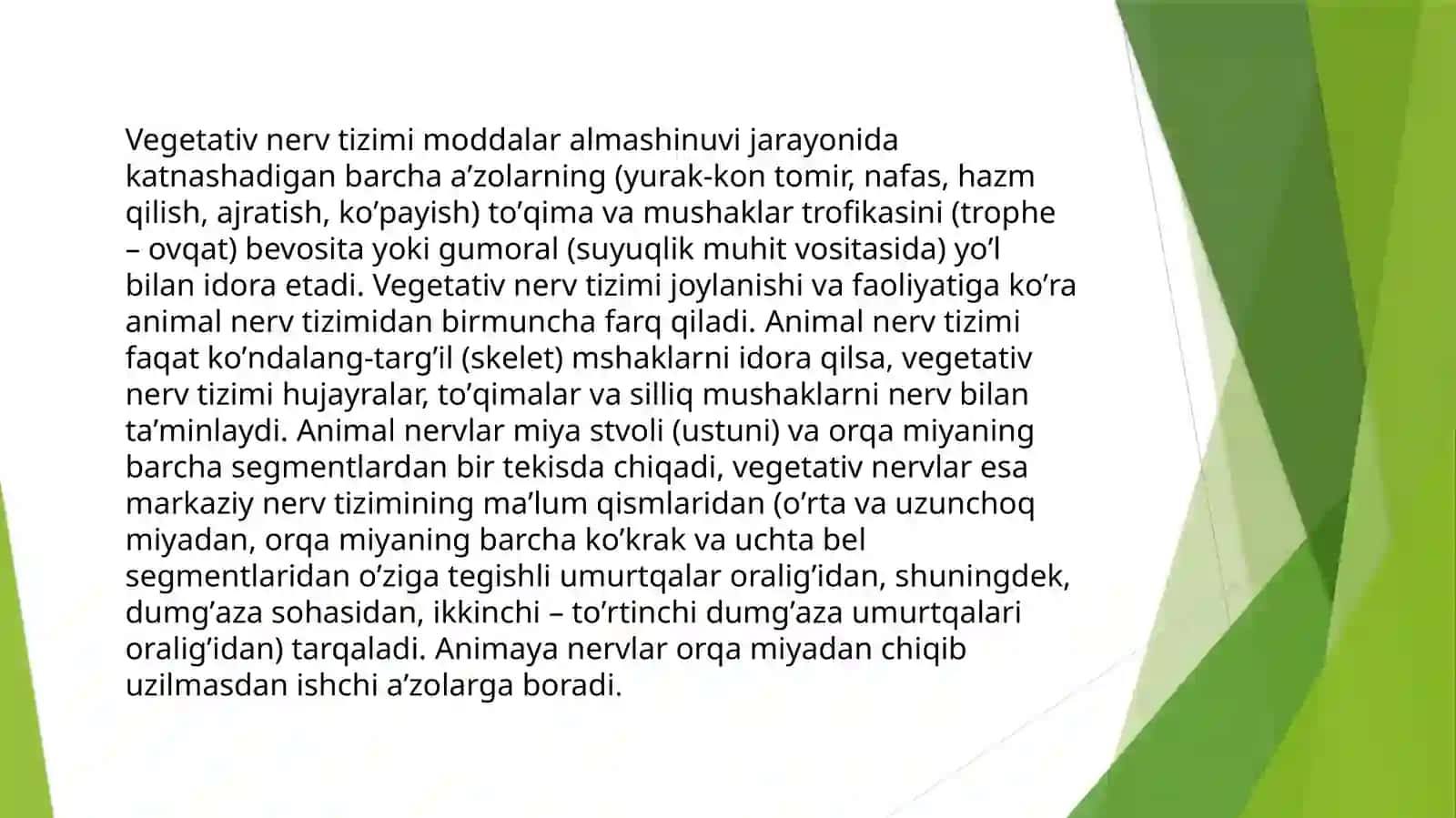 Vegetativ nerv tizimi 4
