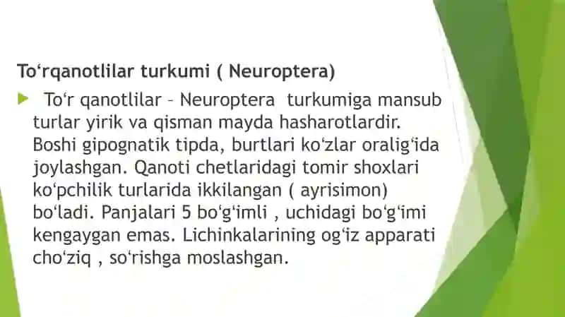 Entomologiya fanidan mustaqil ish 4