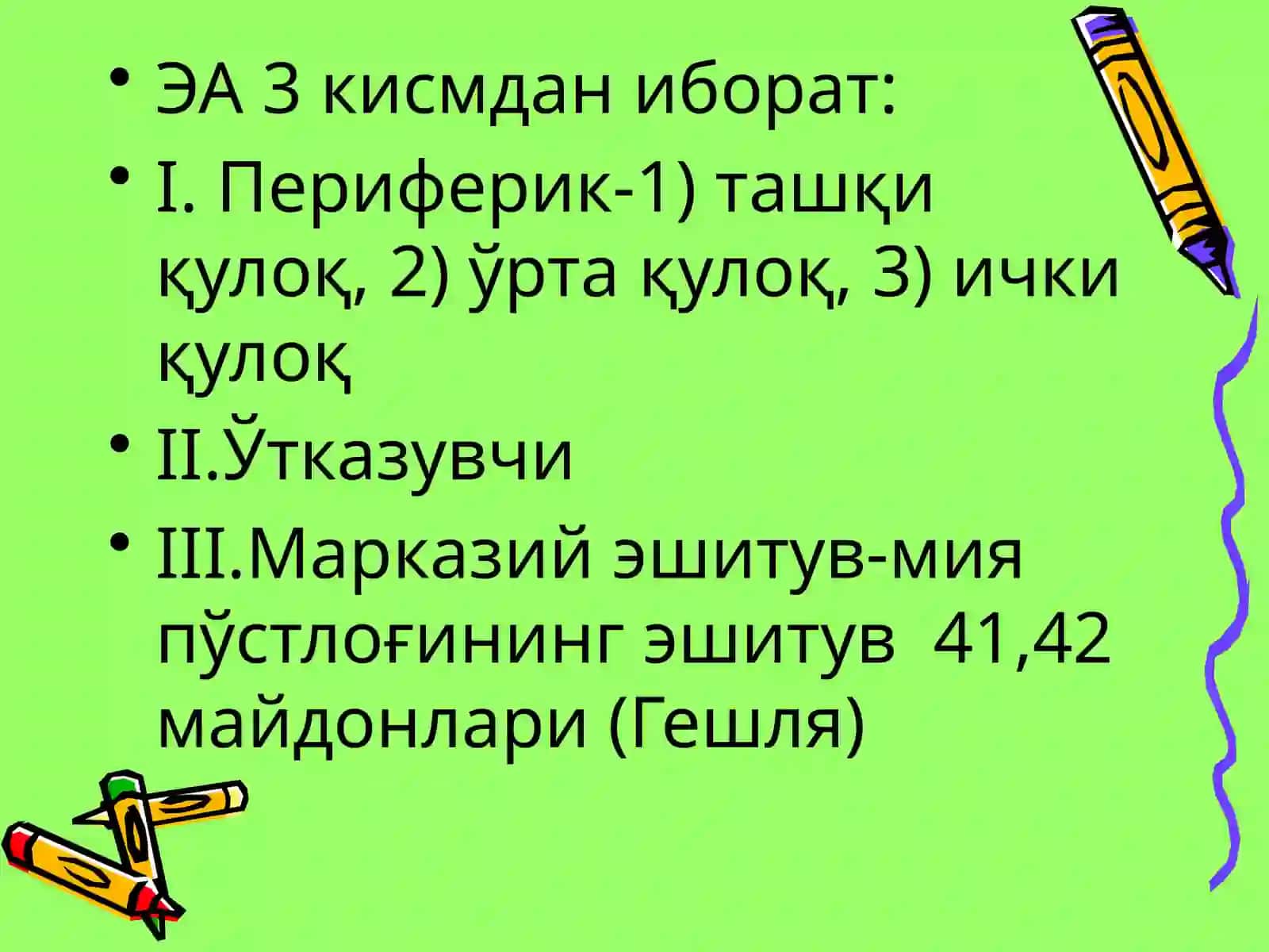 Эшитув ва вестибуляр анализаторларининг анатомияси 4