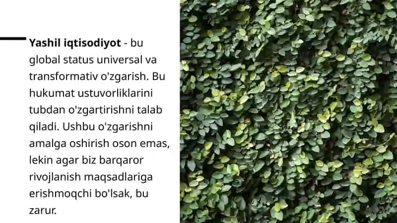 Yashil iqtisodiyotni yaratish va faoliyat yuritish asoslari 4