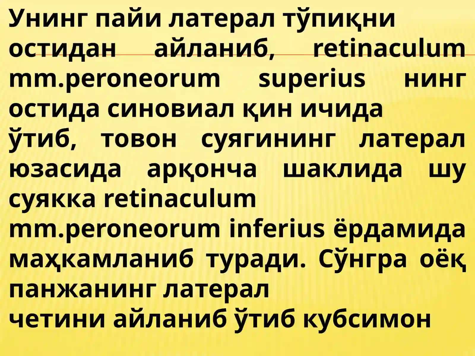 Болдирнинг латерал ғуруҳ мускуллари 4