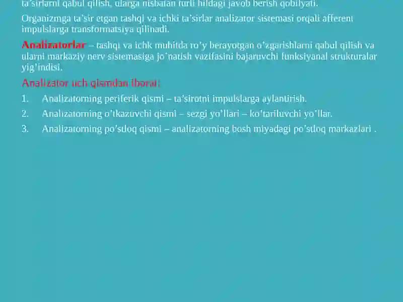 SEZGI SFERASI 4