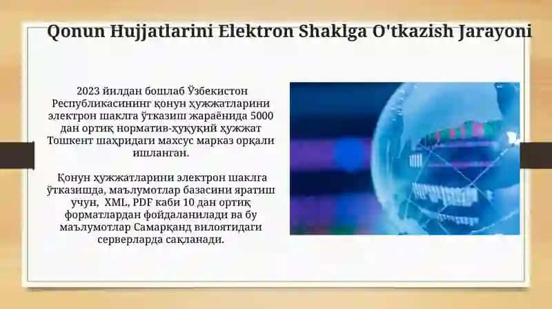 Elektron Hukumat Tizimi 4