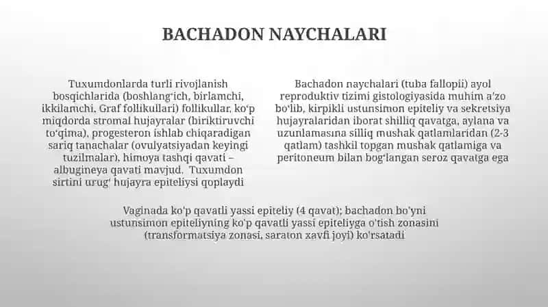Ayollar jinsiy Sistemasi Gistologiyasi 4
