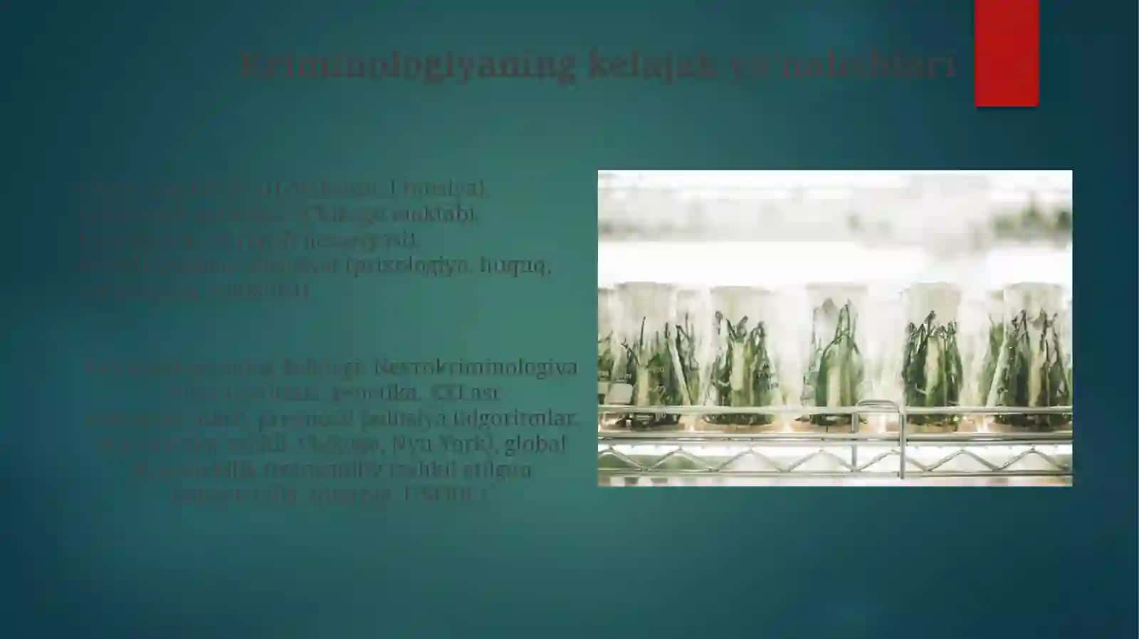 Kriminologiyaning kelib chiqishi va ilmiy fan sifatida rivojlanishi 4