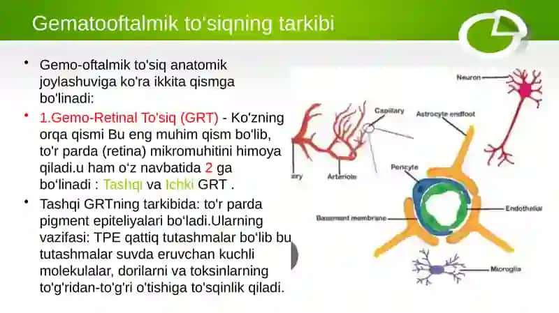 gematooftalmik to'siq 4