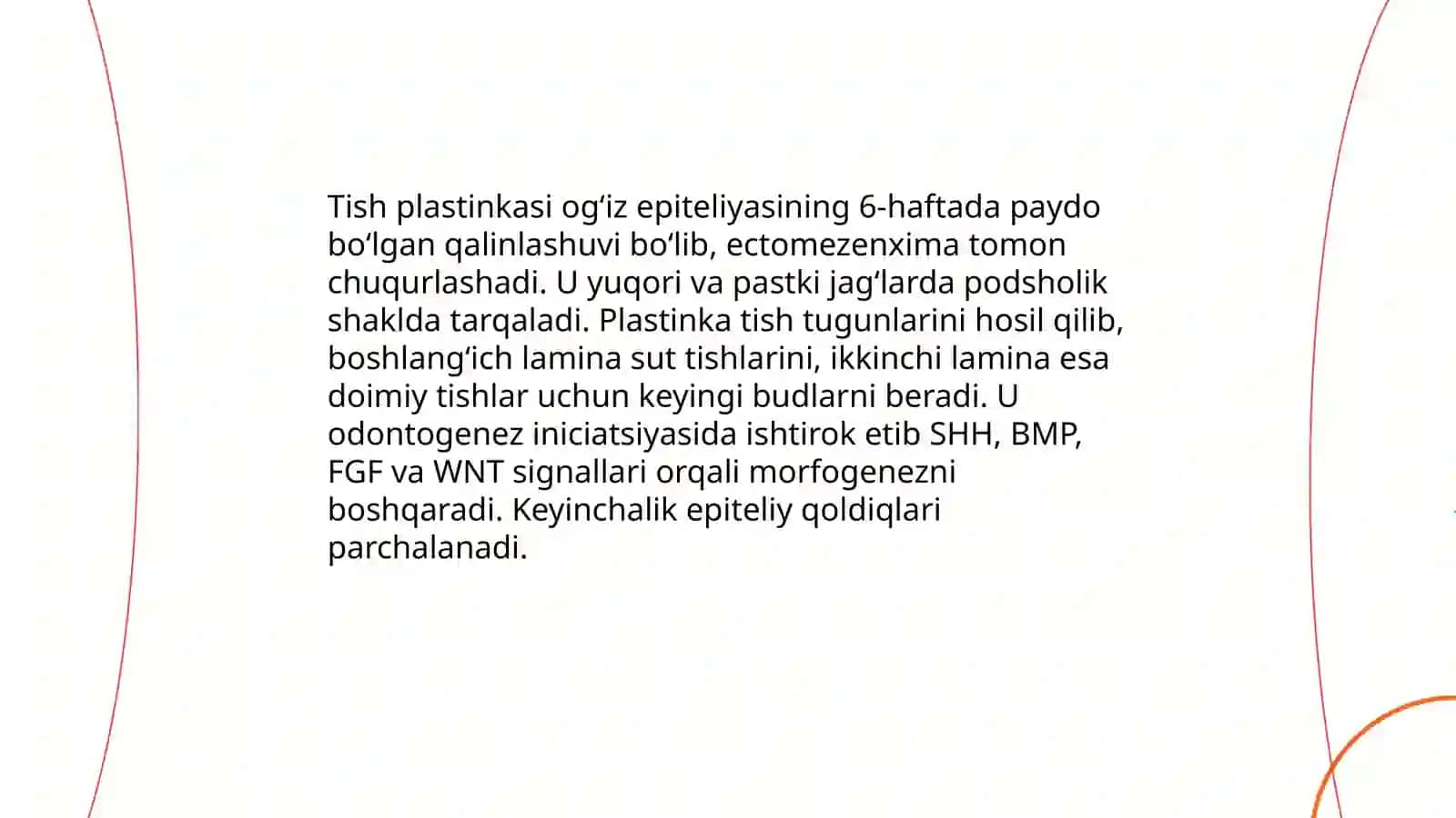 Tish kuragi (bud) davrining morfologik jihatlari va rivojlanish bosqichlari 4