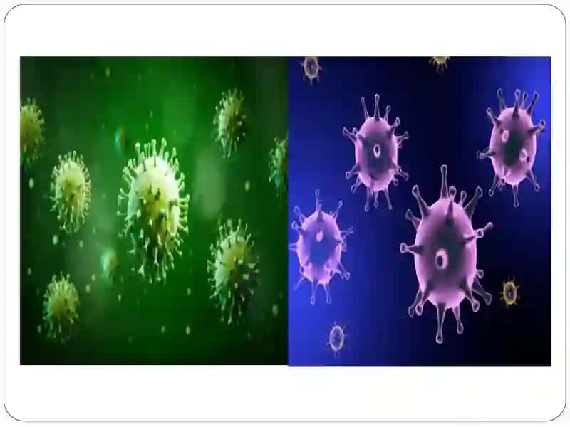 HAVO-TOMCHI YO’LI ORQALI YUQUVCHI INFEKSIYA (CORYNEBACTERIYA, MYCOBACTERIYA). 4