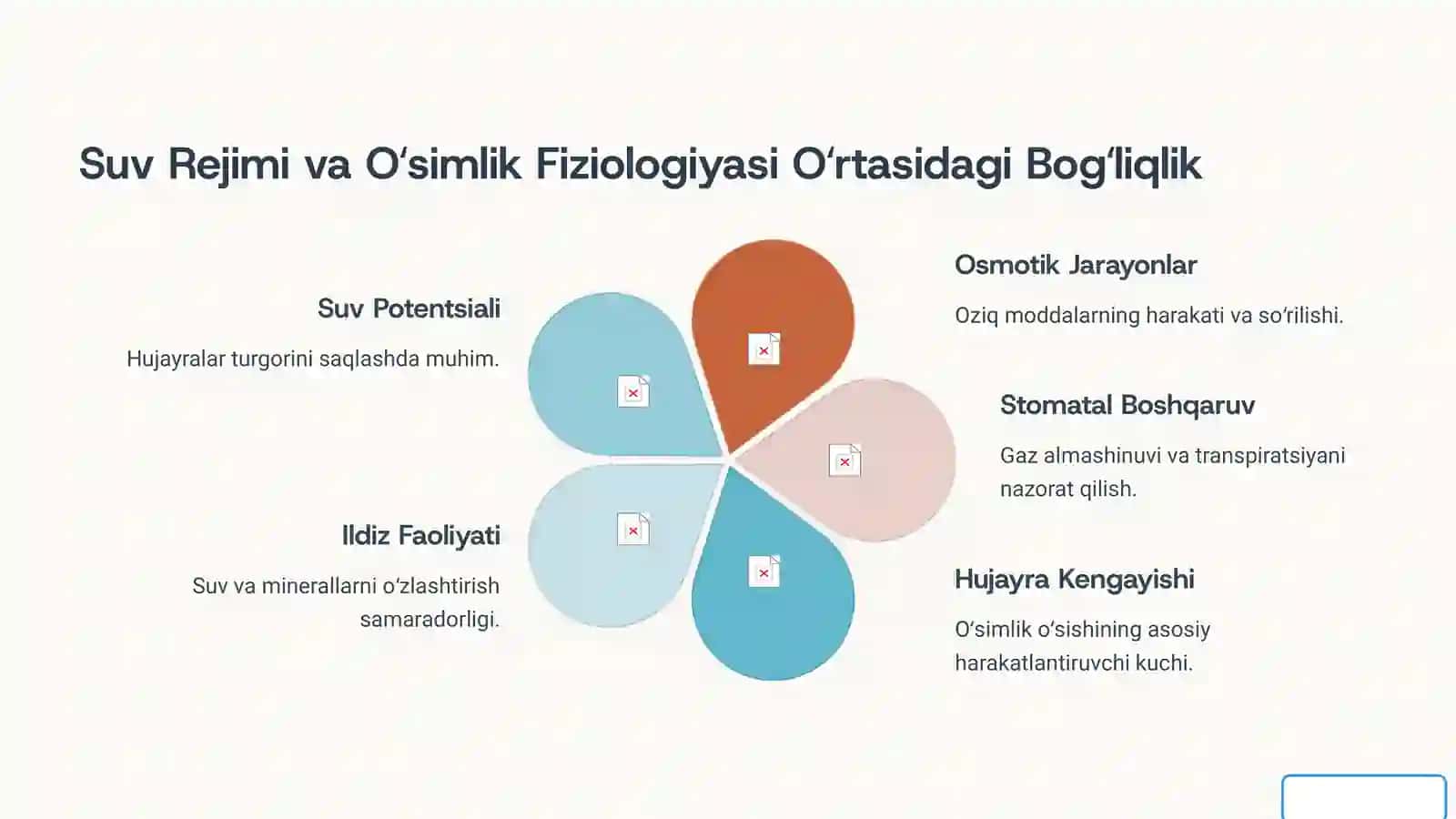 Sugʻoriladigan Dehqonchilikning Fiziologik Xususiyatlari 4