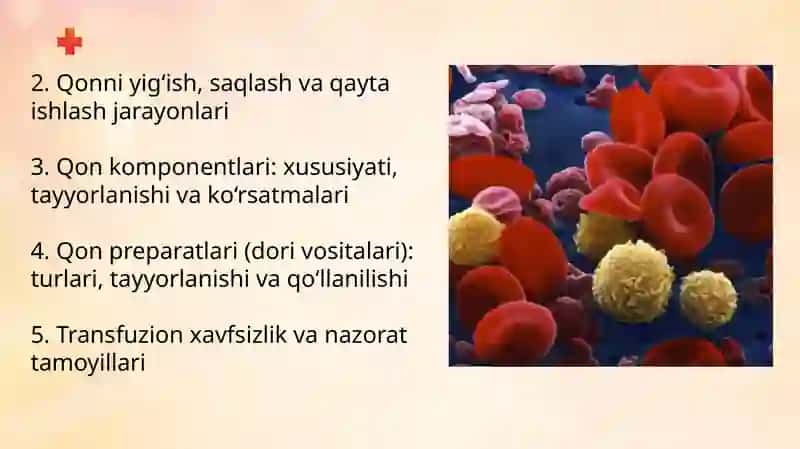 Donor qoni manbalari. Qon komponentlari va qon preparatlari 4
