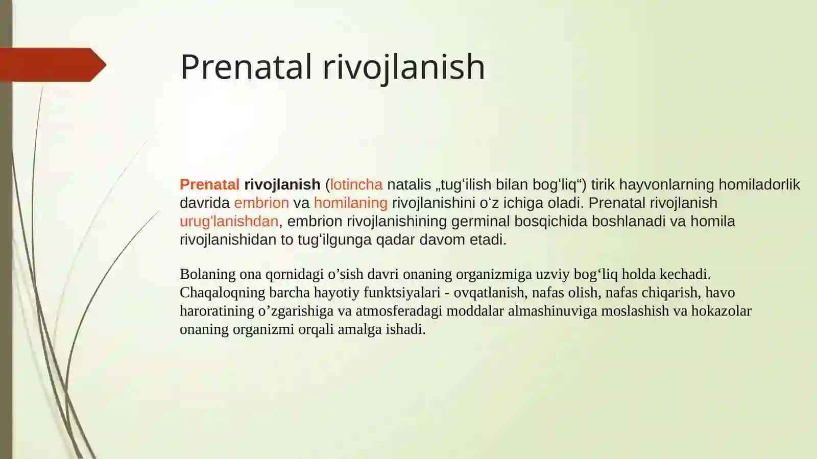 Perinatalvachaqaloqlikdavridapsixafiziologikrivojlanishiga xos xususiyatlari 4
