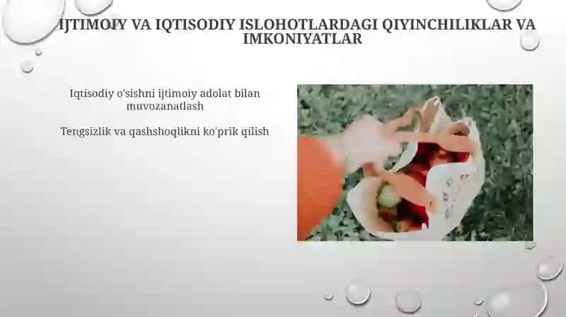 Iqtisodiy Islohotlar va Ularning Natijalari 4