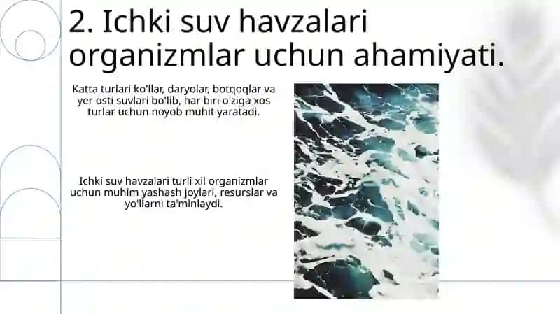 Ichki suv xavzalarining asosiy tiplari va ular organizmlarning yashash muhiti sifatida 4