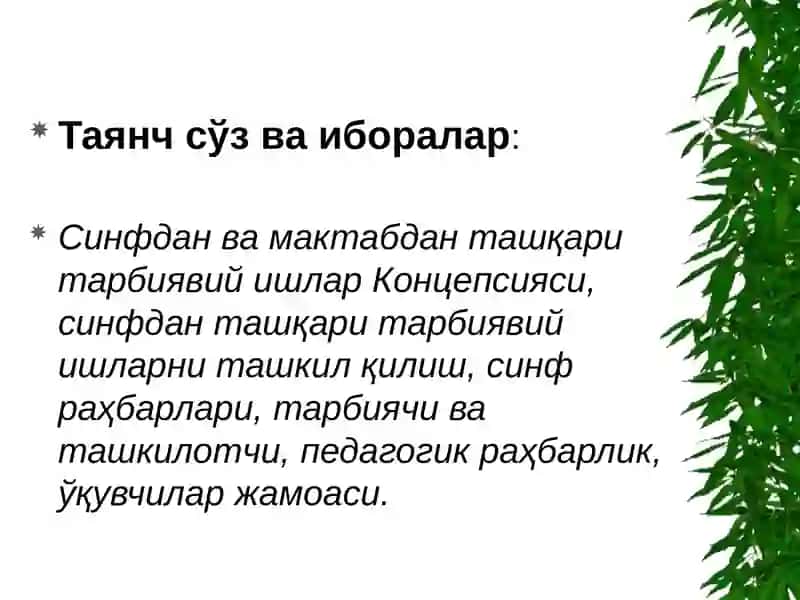 Синфдан ва мактабдан ташқари ишларни ташкил қилишда ташкилотчининг иш методикаси 4