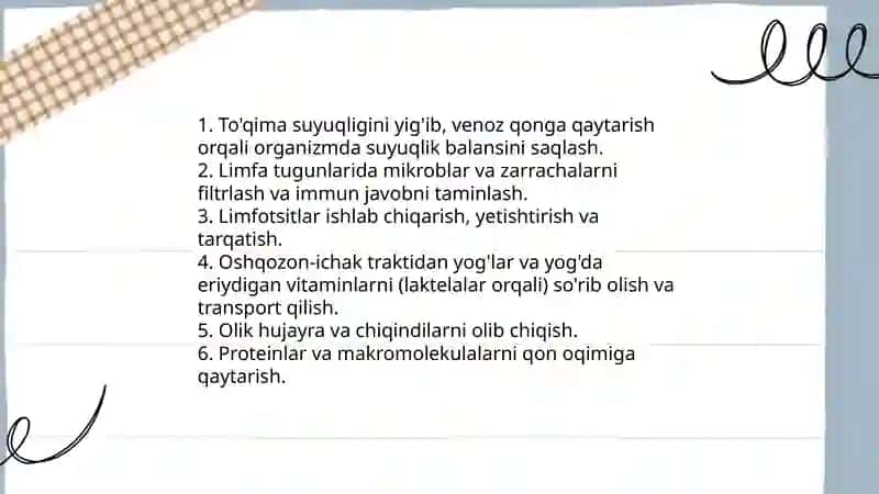 Limfa tizimi 4