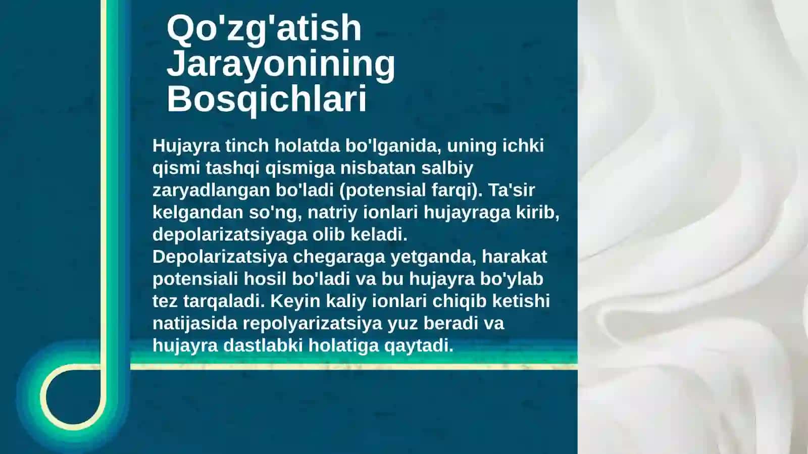 Tibbiyotda Qo'zg'atish Qonunlarining Asosiy Tamoyillari 4