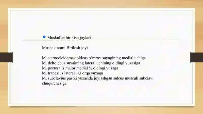 O'mrov chiqishlari va sinishlari 4