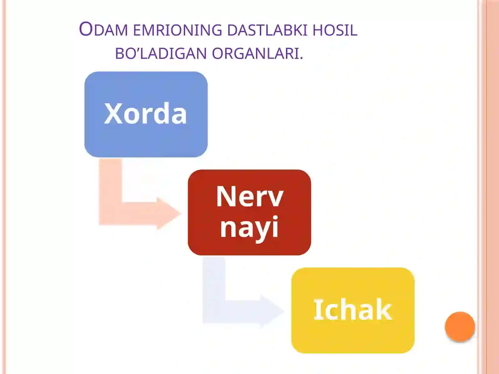 “ODAMNING BIOLOGIK O’ZGARISHI VA IJTIMOIY TABIATI” MAVZUSI BO’YICHA DARS ISHLANMASI 4