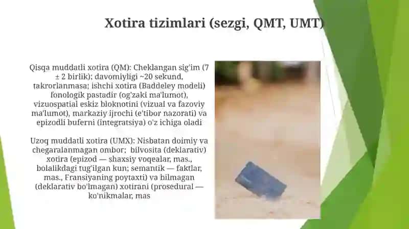 Хотира ва унинг асосий механизмлари 4