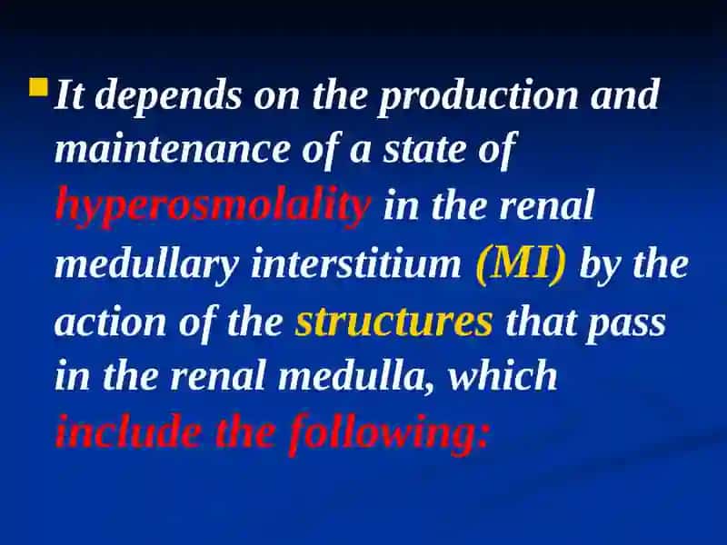 Loops of Henle (LH) 4