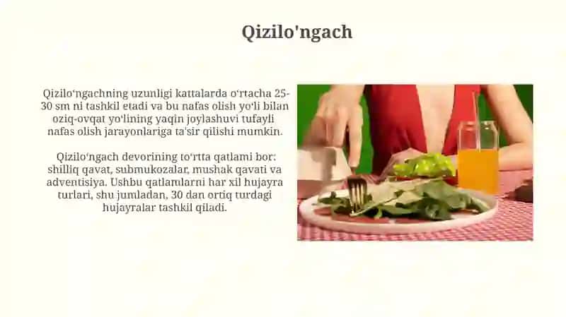 Ovqat va uning hazm bo‘lish haqida tushuncha 4