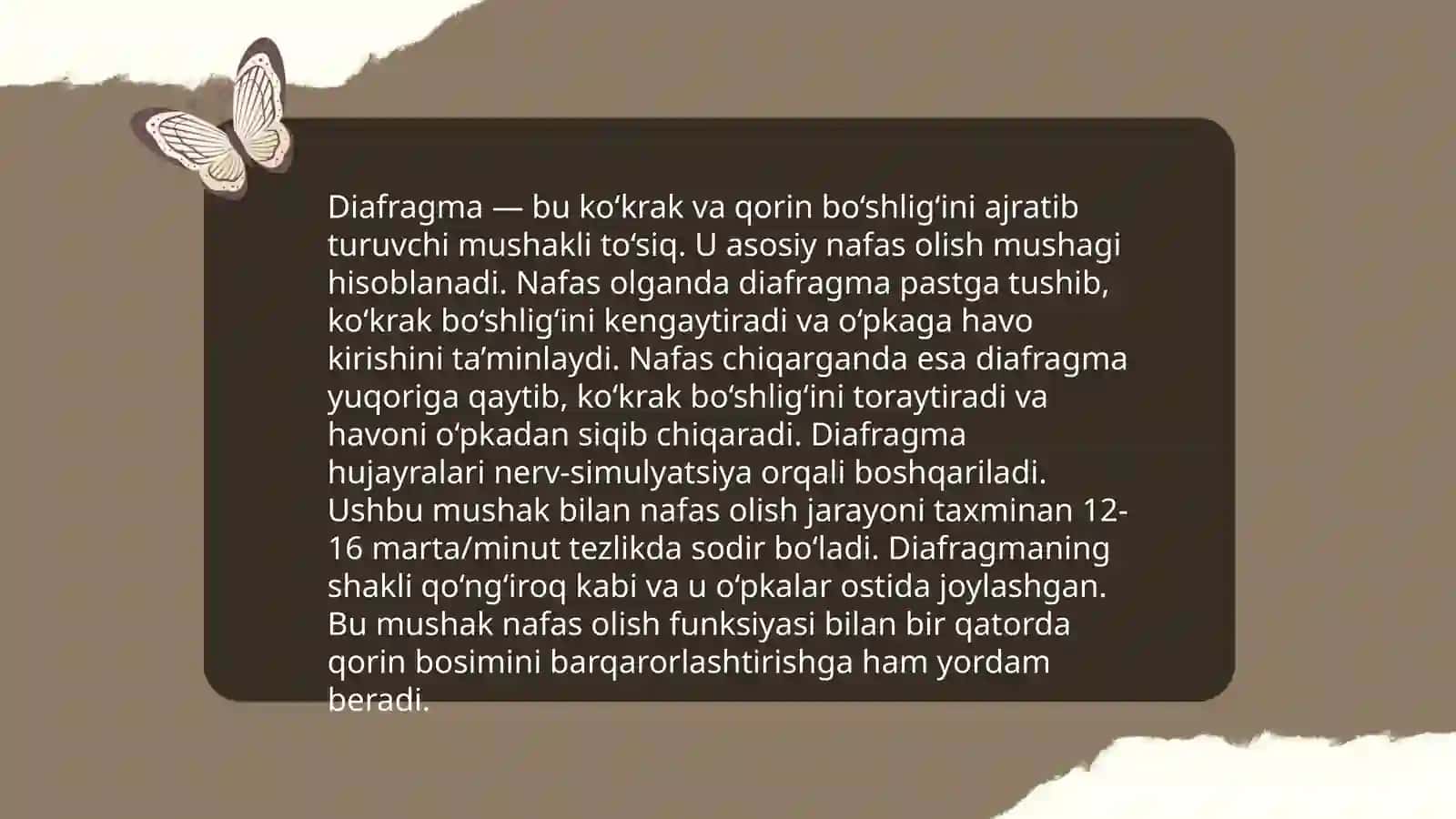 Nafas olish muskullari 4
