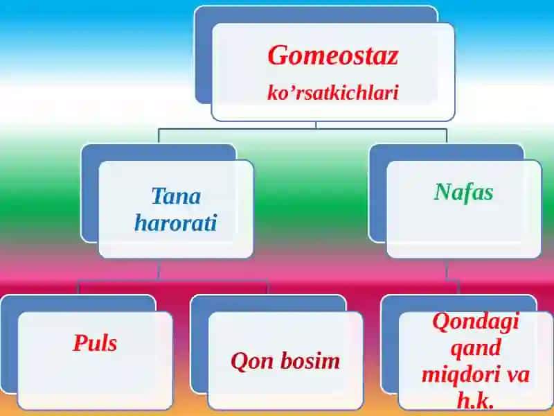 HAYOT FAOLIYATI XAVFSIZLIGINING TIBBIY BIOLOGIK  ASOSLARI.  AQLIY MEHNAT GIGIENASI. 4