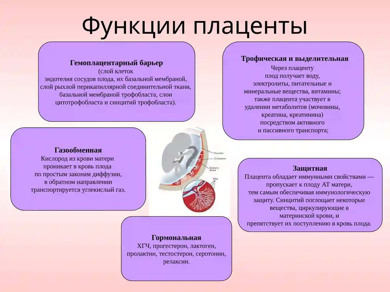 Плацентарные нарушения.Плацентарная недостаточность 4