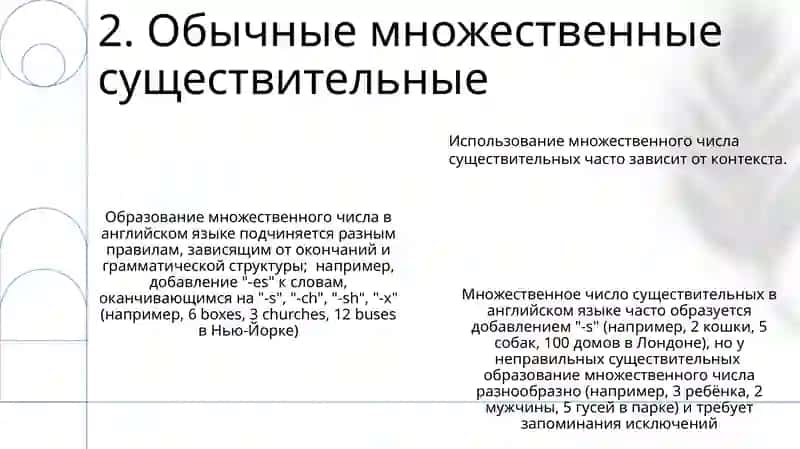 Множественное число имен существителньных 4