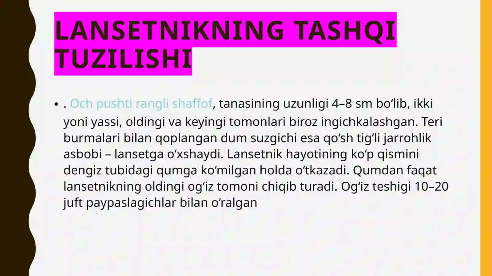 Bosh skeletsizlar kenja tipi 4