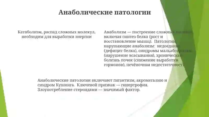 Катаболизм и анаболизм. Его нормальные и патологические состояния изменения 4