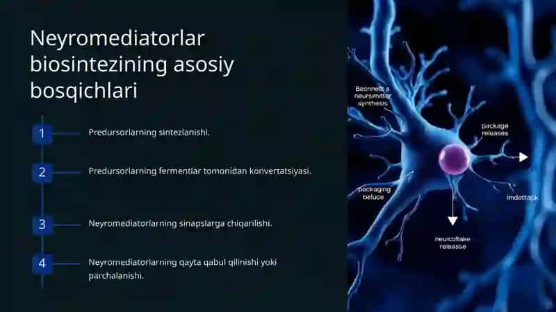 Neyromediatorlar: Biosintez, Ahamiyativa Kasalliklari 4