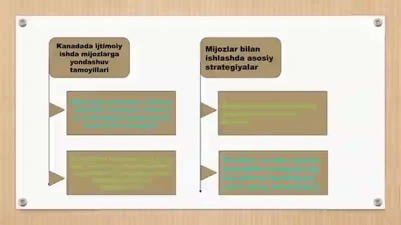 Kanada va Avstraliyada ijtimoiy ish faoliyatining asosiy tamoyillari 4