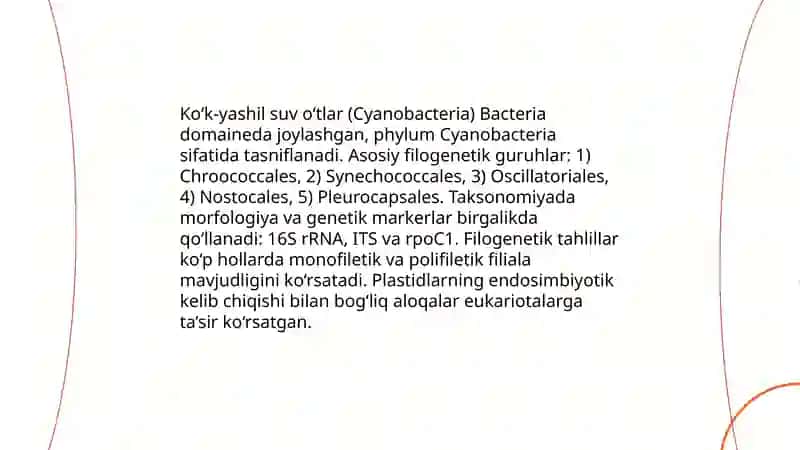 Bakteriyalar va ko‘k-yashil suv o‘tlar 4