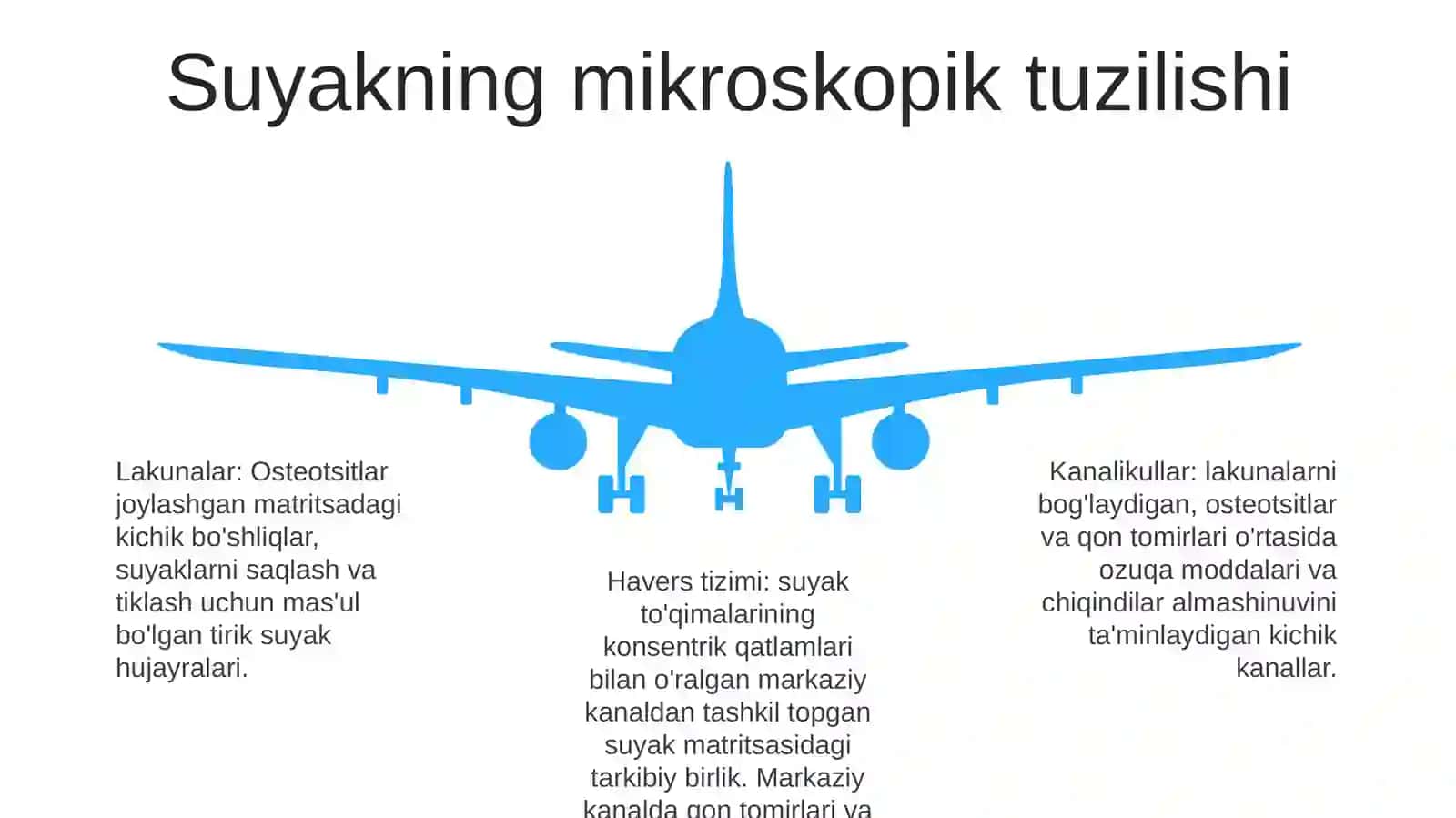 Suyak ToʻQimasi Tuzilishi 4