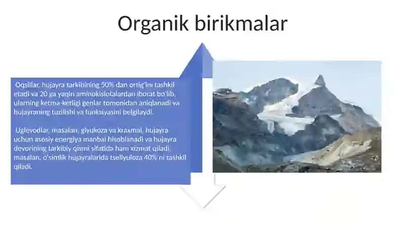 Hujayra kimyoviy tarkibi 4