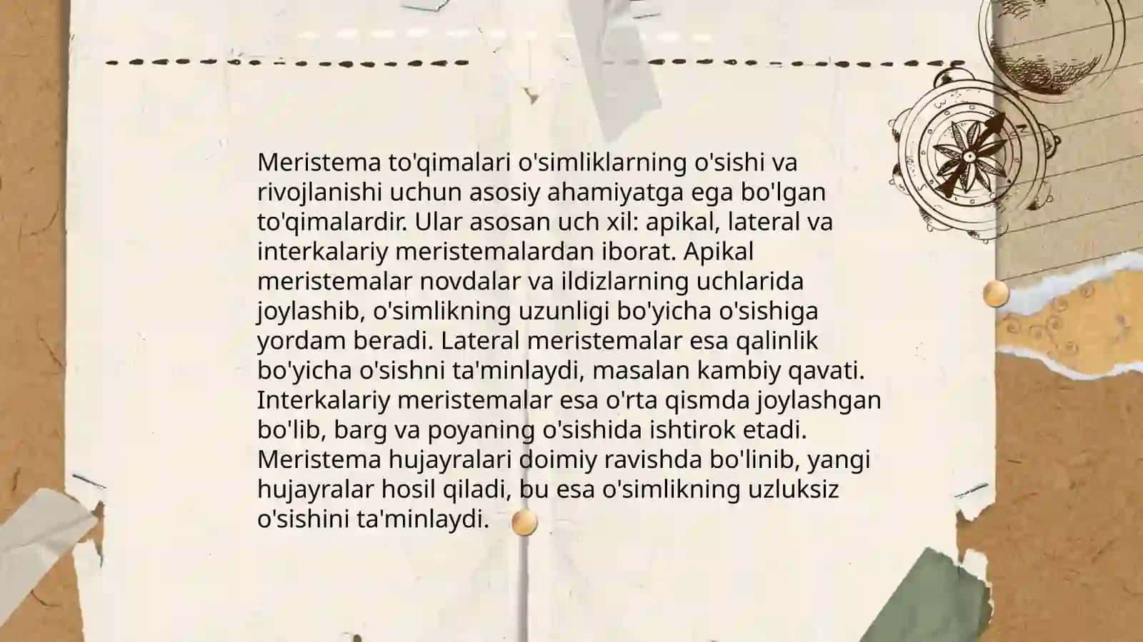 O'simliklar to'qimalari Va ularning klasifikatsiyasi 4
